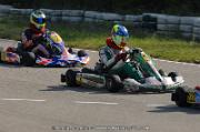 DSC_0275 (2)